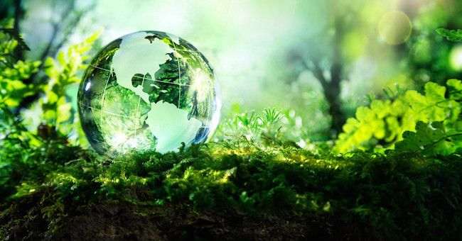 ‘Il mio mondo eco-bio’, la nuova rubrica di Cristina Garavaglia