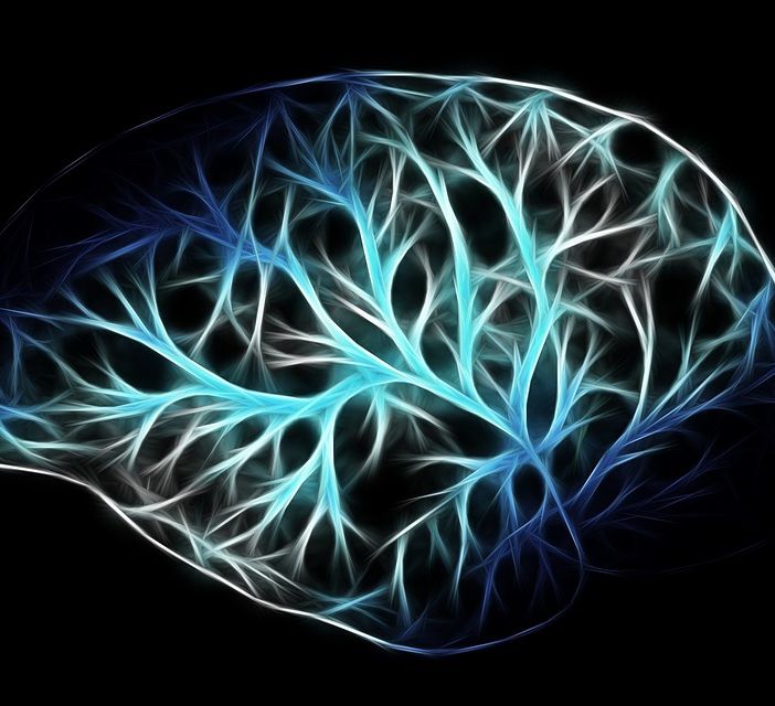 Vigevano: Settimana del Cervello, Quanto la tecnologia ed i suoi strumenti vanno ad influire sulle capacità cognitive?