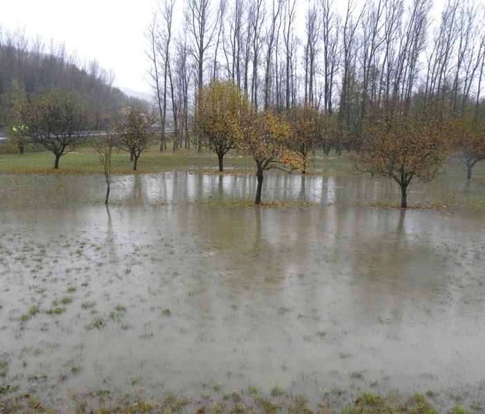 Maltempo, Lombardia: sos campi allagati  con -50% semine e piantine affogate