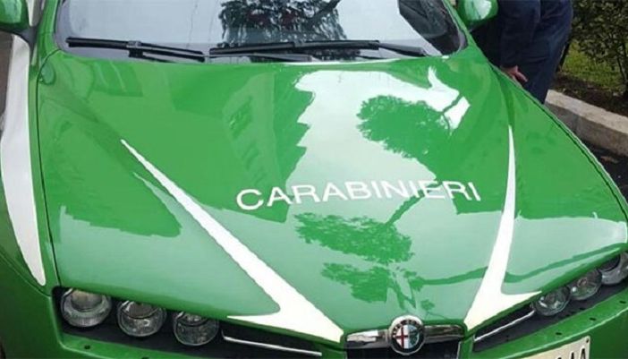 Carabinieri Forestali scovano una discarica abusiva, al suo interno detenute 6 tartarughe. Denunciato un novarese