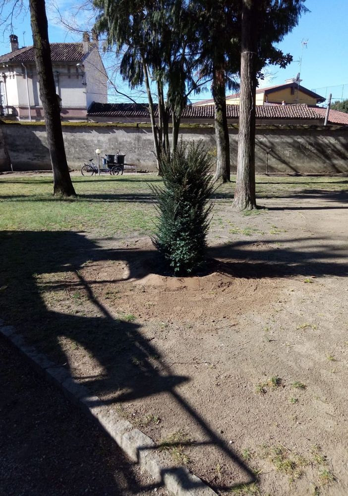 Gropello, il parco di Villa Cairoli messo in sicurezza e sistemato dopo la tempesta di vento di una decina di giorni fa