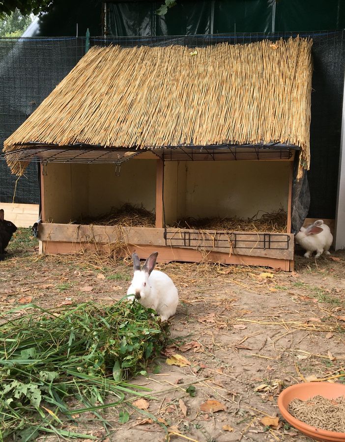 Per la Festa dei Nonni il prossimo 3 e 4 Ottobre appuntamento al Villaggio delle Zucche di San Martino Siccomario