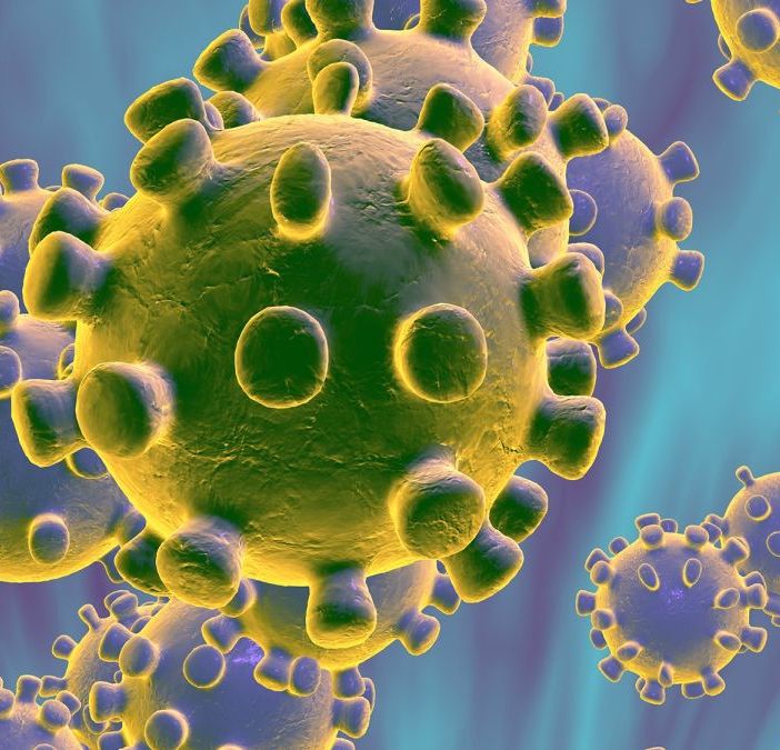 Mortara, Coronavirus: novità nel DPCM. Il sindaco Facchinotti le spiega in conferenza stampa