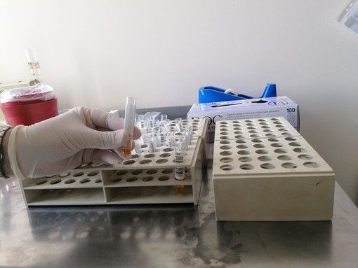 Coronavirus: un caso anche a Palermo e Firenze. In Lombardia 206 contagi. Nel sud di Tenerife 1000 in quarantena in hotel dopo l'italiano trovato positivo