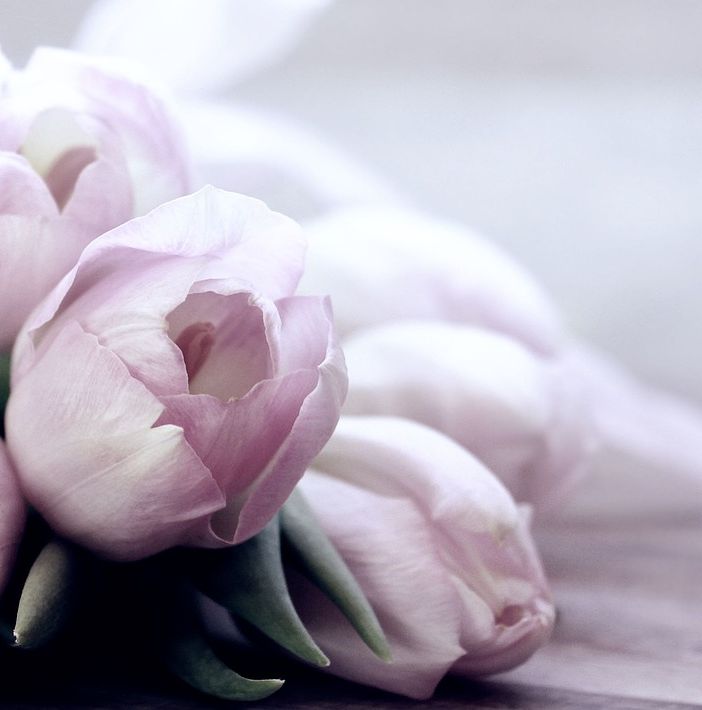 Mille occasioni di festa: ma cosa suggerisce il galateo dei fiori?