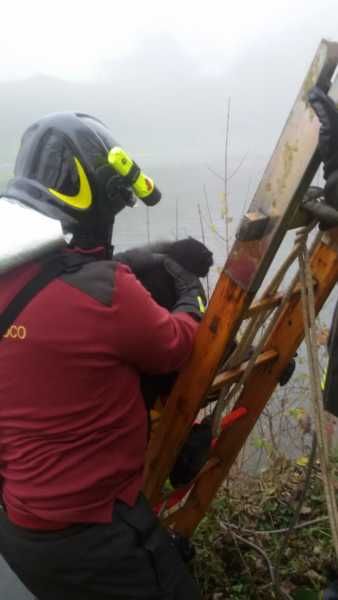 Robecco: gattino intrappolato nel Naviglio salvato dai Vigili del Fuoco