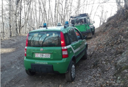 Colta sul fatto mentre incendia il bosco: piromane in carcere a Vercelli