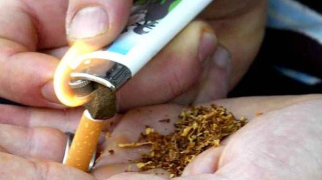 11 milioni di hashish sequestrata: agli arresti banda attiva tra Garlasco e Milano
