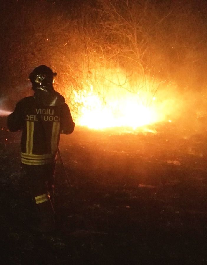 Mede: vasto incendio in un canneto domato dai Vigili del fuoco