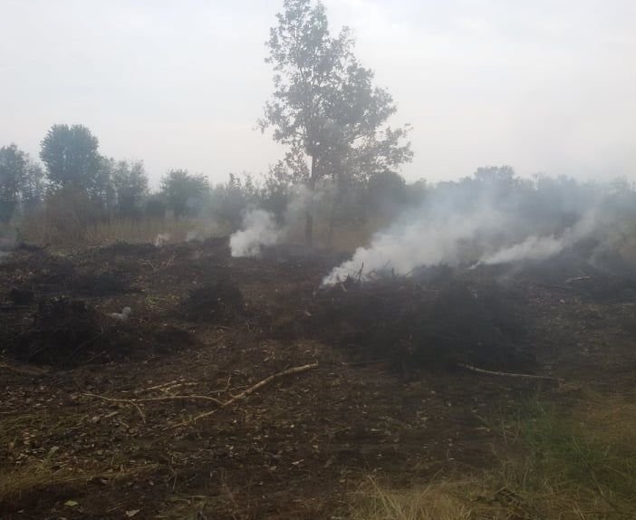 Corbetta: terreno agricolo in fiamme nella notte, è un incendio doloso