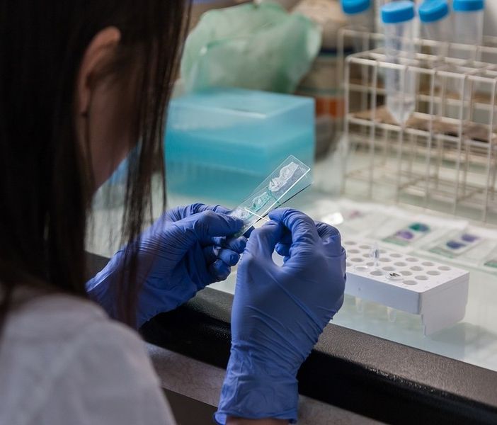 Coronavirus, in Italia oggi 15.204 nuovi positivi e 467 vittime. Il Veneto la regione più colpita