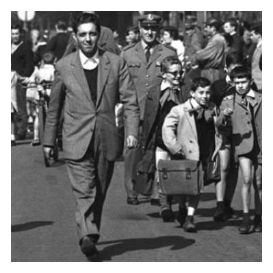 Il Ticino di Lucio Mastronardi (1° parte)