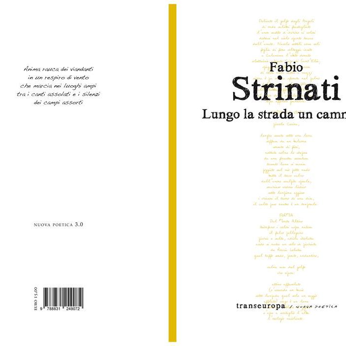 Vigevano, nel nuovo libro di Fabio Strinati: &quot;Lungo la strada un cammino&quot;, una poesia dedicata alla città ducale