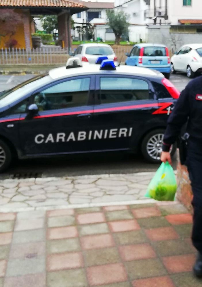 Pavese: i Carabinieri consegnano i medicinali a una persona bisognosa di assistenza