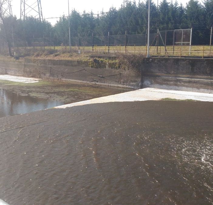 Terminati i lavori, torna l'acqua nel Naviglio Grande