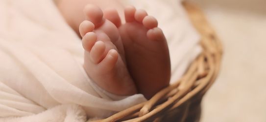 Voghera si illumina di viola per la Giornata Mondiale della Prematurità