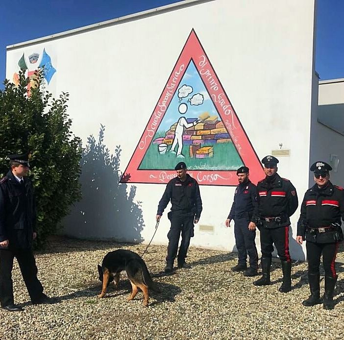 Operazione scuole sicure: nel Pavese segnalati nove giovani &quot;consumatori&quot;