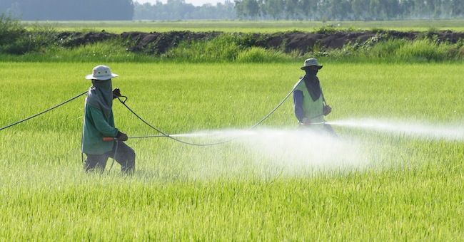 Pesticidi nelle acque: Legambiente lancia l’allarme