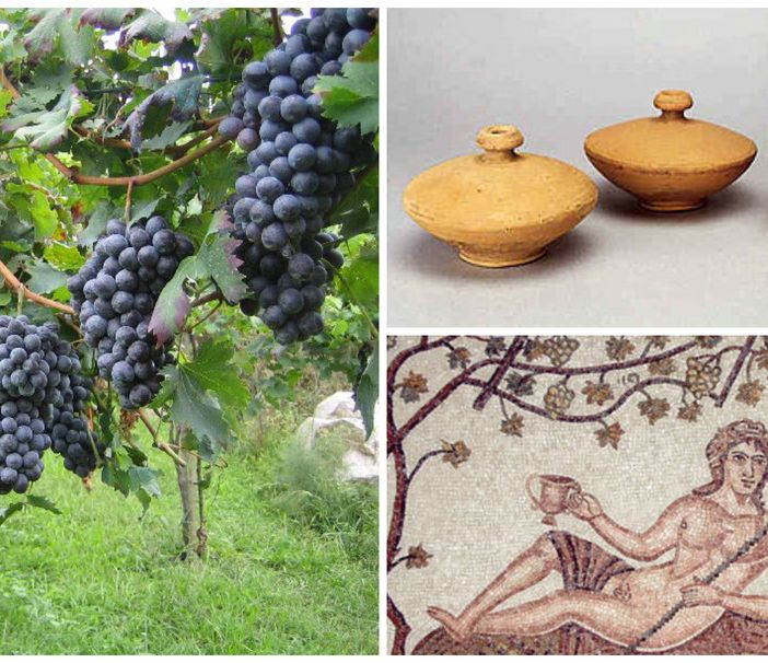 LOMELLINA AMBIENTE - La Storia del Vino -