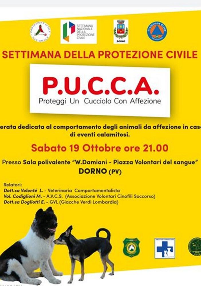 Dorno, serata dedicata agli animali di affezione nei momenti delle calamità naturali