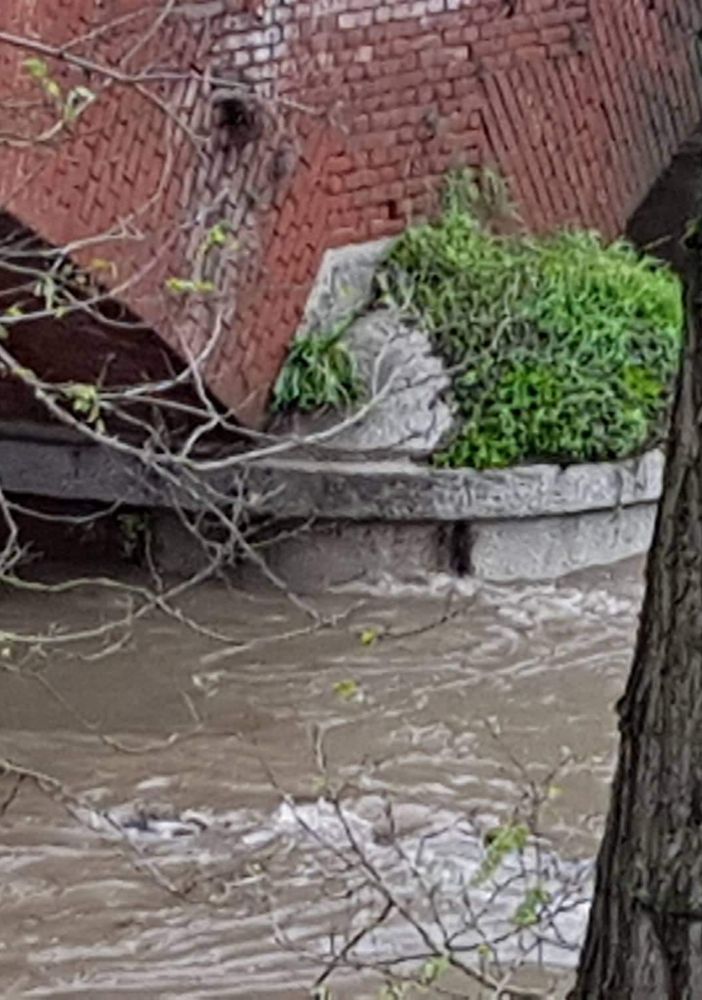- (FOTO e VIDEO) - La situazione attuale di Po e Agogna tra Lomello e Pieve del Cairo