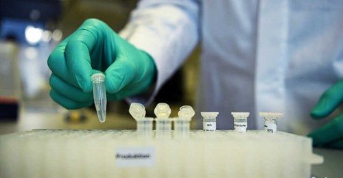 Covid, lo studio olandese: carica virale degli anziani 16 volte superiore agli under 12
