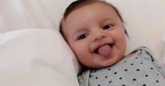 Corbetta e le buone notizie: Leo è tornato a casa !