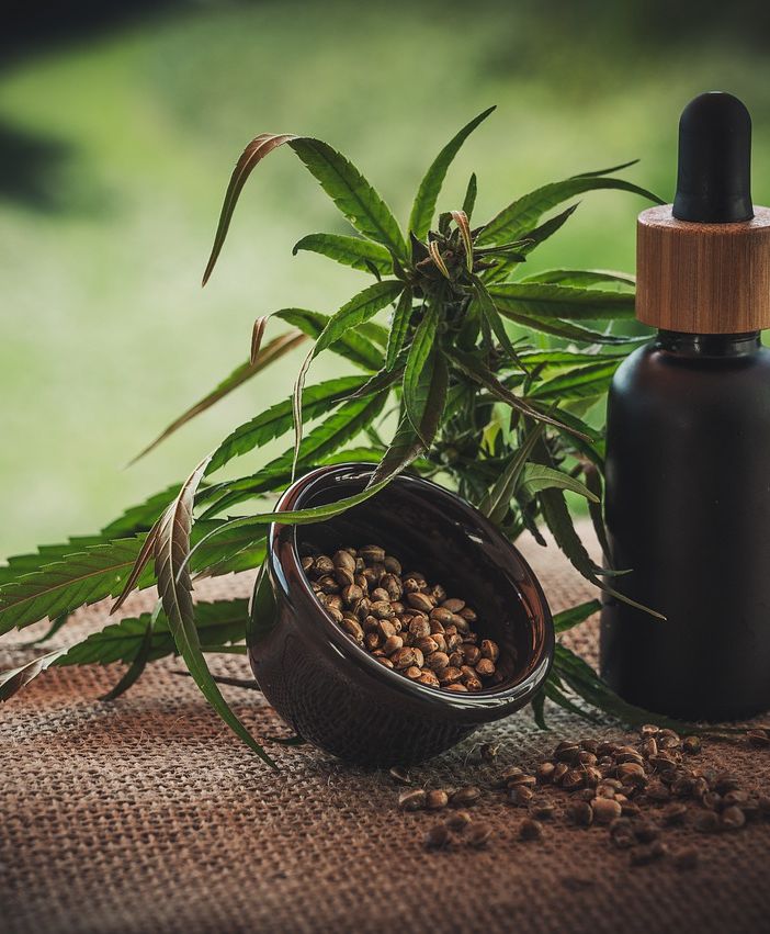 Cosa potrebbe significare la legalizzazione della cannabis per il mercato del lavoro in Italia