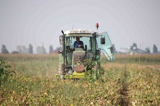 Coronavirus: AAA lavoro campi cercasi, apre sportello on line
