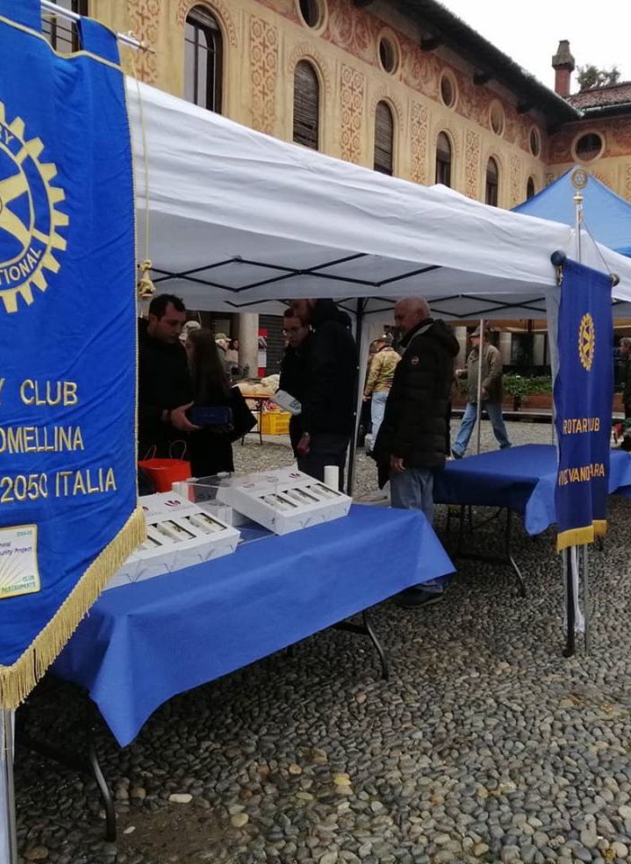 - (FOTOGALLERY) - Vigevano, successo per i volontari dei Rotary Club Vigevanesi in piazza Ducale