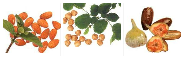 Gambolò, Museo Archeologico Lomellino: aperitivo preistorico e apertura straordinaria per la 20° Sagra del Fagiolo Borlotto