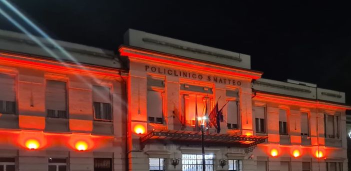 Giornata Internazionale contro la violenza sulle donne, il Policlinico San Matteo si illumina di rosso Giornata Internazionale contro la violenza sulle donne, il Policlinico San Matteo si illumina di rosso