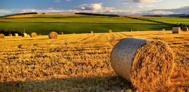 Agricoltura. Anticipo PAC: da Regione Lombardia 95 milioni di euro per oltre 10 mila imprese
