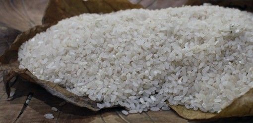 Riso, dopo il maltempo scatta la raccolta, ma è boom import UE per chicchi da risotto Riso, dopo il maltempo scatta la raccolta, ma è boom import UE per chicchi da risotto