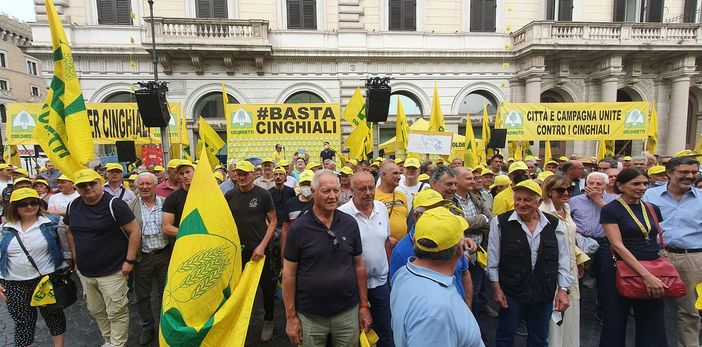 Peste suina, a rischio 4 salumi di qualità su 5. Coldiretti: abbattere cinghiali, veicolo malattia Peste suina, a rischio 4 salumi di qualità su 5. Coldiretti: abbattere cinghiali, veicolo malattia