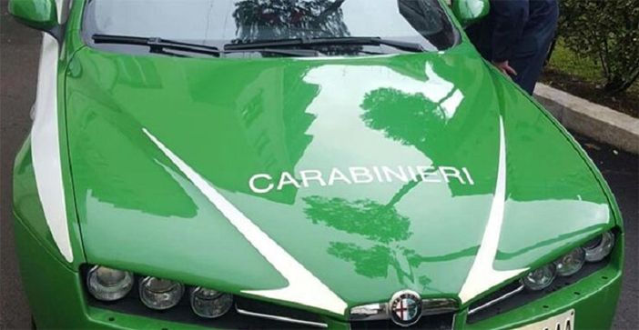 Carabinieri Forestali scovano una discarica abusiva, al suo interno detenute 6 tartarughe. Denunciato un novarese Carabinieri Forestali scovano una discarica abusiva, al suo interno detenute 6 tartarughe. Denunciato un novarese