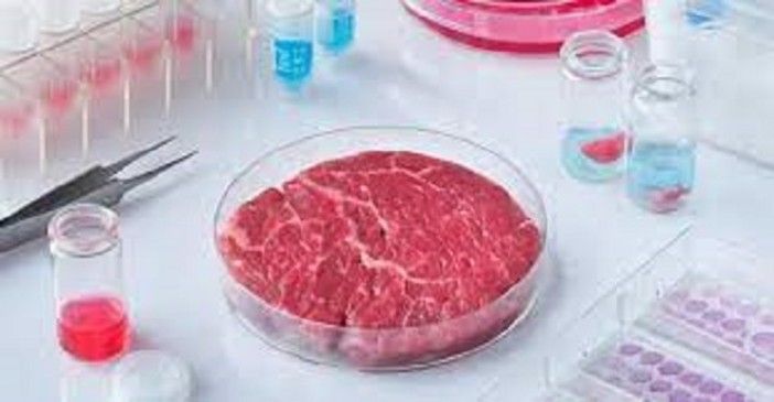 Fao: Coldiretti, da allergie a cancro i rischi del “cibo sintetico” Fao: Coldiretti, da allergie a cancro i rischi del “cibo sintetico”