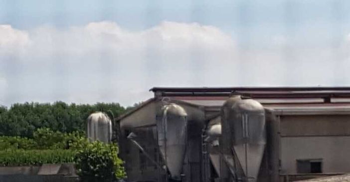 Robecco sul Naviglio: mamma e figlio rapinati e legati dai malviventi in fuga con soldi e oro, terrore a Casterno