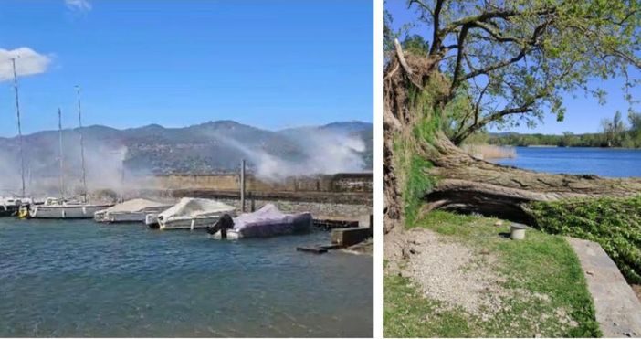 VIDEO e FOTO. Le folate di vento sferzano il lago Maggiore, albero sradicato ad Angera VIDEO e FOTO. Le folate di vento sferzano il lago Maggiore, albero sradicato ad Angera