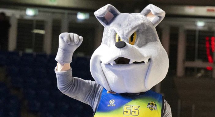 (foto Vigevano 1955)