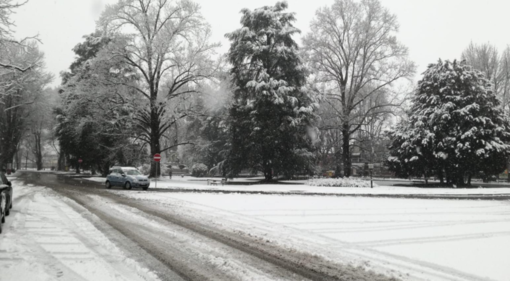 Vercelli: neve su città e provincia