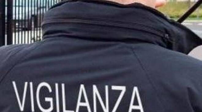 Lo sciopero dei lavoratori della vigilanza privata la vigilia di Natale: «Basta attese, contratto subito» Lo sciopero dei lavoratori della vigilanza privata la vigilia di Natale: «Basta attese, contratto subito»