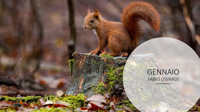 57 fotografi, 18 classi: è un successo il concorso fotografico indetto dal parco del Ticino