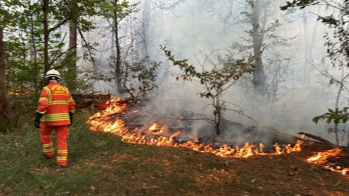 Nove incendi in dieci giorni nel Parco del Ticino Nove incendi in dieci giorni nel Parco del Ticino