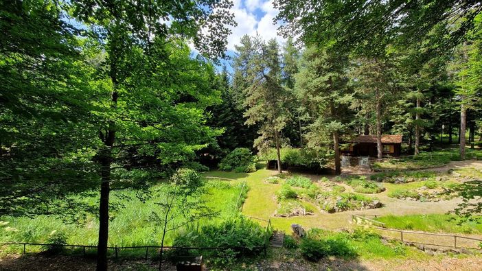 Riapre il giardino botanico di Pietra Corva