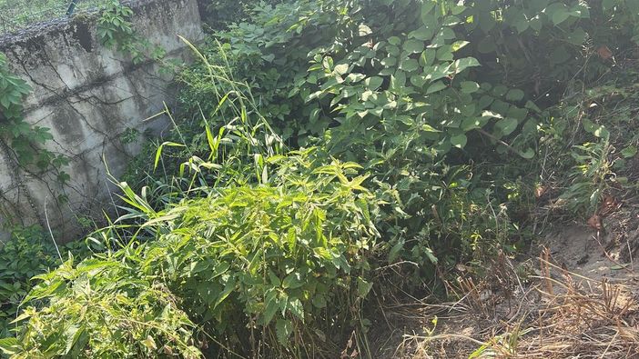 Caso Garlasco: Sempio perquisito, si indaga su oggetti trovati in un canale Caso Garlasco: Sempio perquisito, si indaga su oggetti trovati in un canale