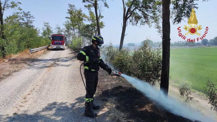 Pieve Albignola: incendio di sterpaglie sul cavalcavia dell'autostrada Pieve Albignola: incendio di sterpaglie sul cavalcavia dell'autostrada
