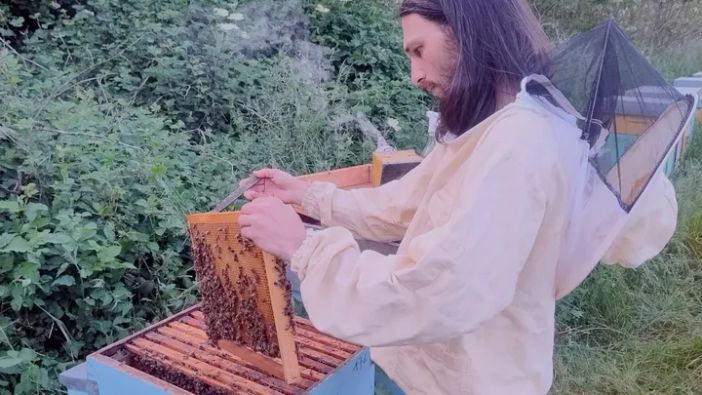 Palestro, apiario spazzato via dalla piena del Sesia. Apicoltore lancia raccolta fondi per ripartire Palestro, apiario spazzato via dalla piena del Sesia. Apicoltore lancia raccolta fondi per ripartire