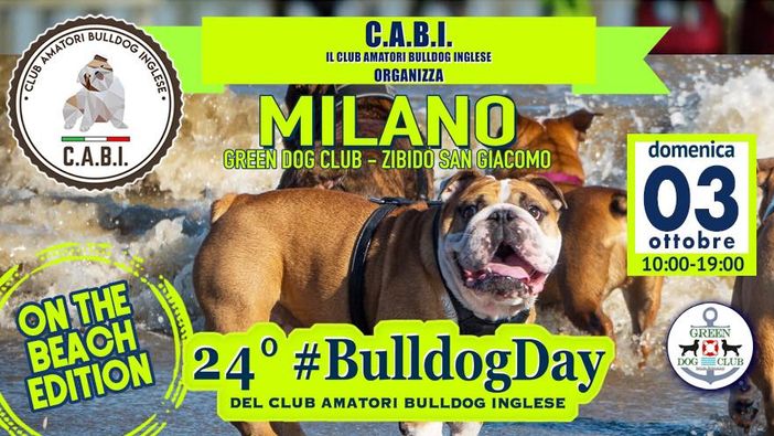 24° #BULLDOGDAY ancora in bilico causa maltempo: intanto diamo le indicazioni e le raccomandazioni in caso di conferma