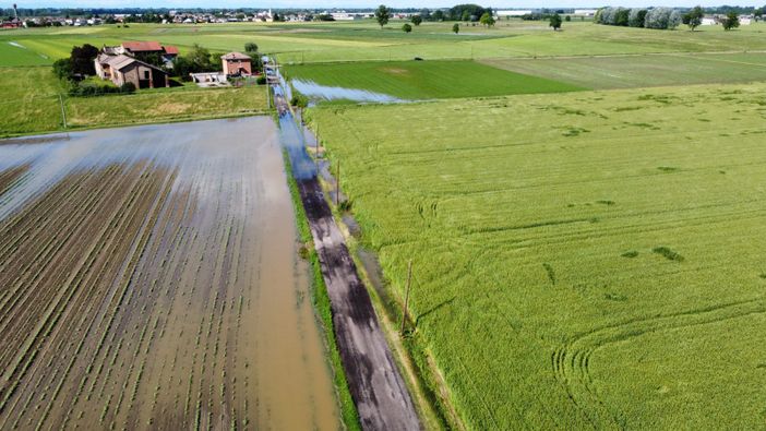 Oltrepò Pavese: maltempo, grandine su cereali e vigneti e il fieno marcisce nei campi allagati Oltrepò Pavese: maltempo, grandine su cereali e vigneti e il fieno marcisce nei campi allagati